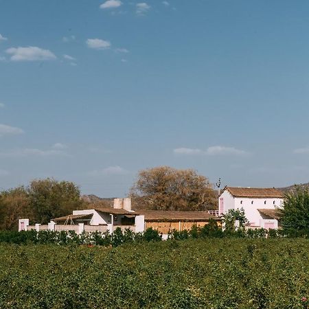 The Luxe Pushkar - A Luxury Farmstay In Пушкар Екстериор снимка