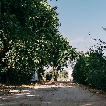 The Luxe Pushkar - A Luxury Farmstay In Пушкар Екстериор снимка