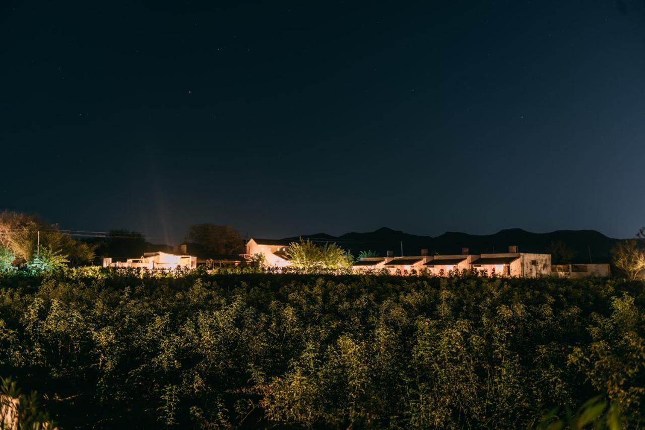 The Luxe Pushkar - A Luxury Farmstay In Пушкар Екстериор снимка