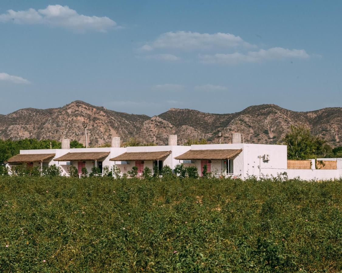 The Luxe Pushkar - A Luxury Farmstay In Пушкар Екстериор снимка