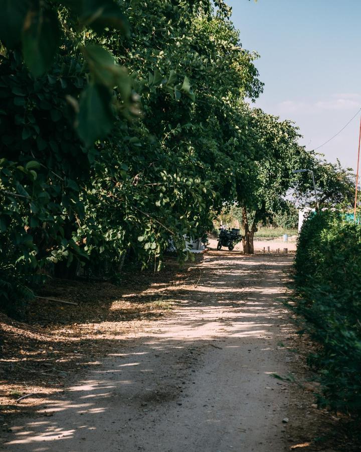 The Luxe Pushkar - A Luxury Farmstay In Пушкар Екстериор снимка