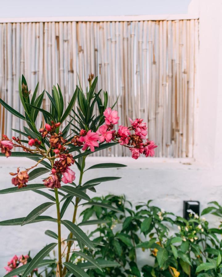 The Luxe Pushkar - A Luxury Farmstay In Пушкар Екстериор снимка
