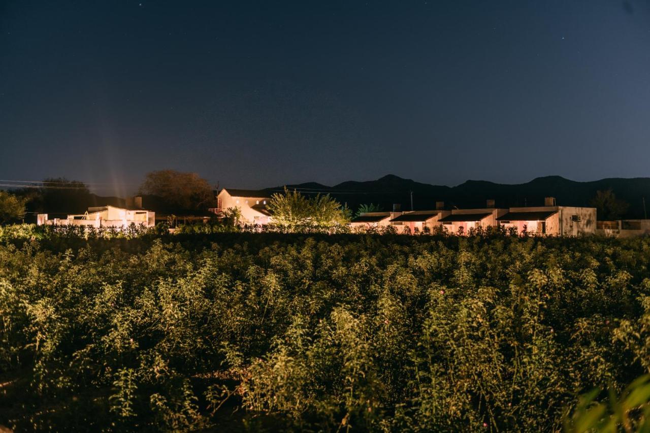 The Luxe Pushkar - A Luxury Farmstay In Пушкар Екстериор снимка