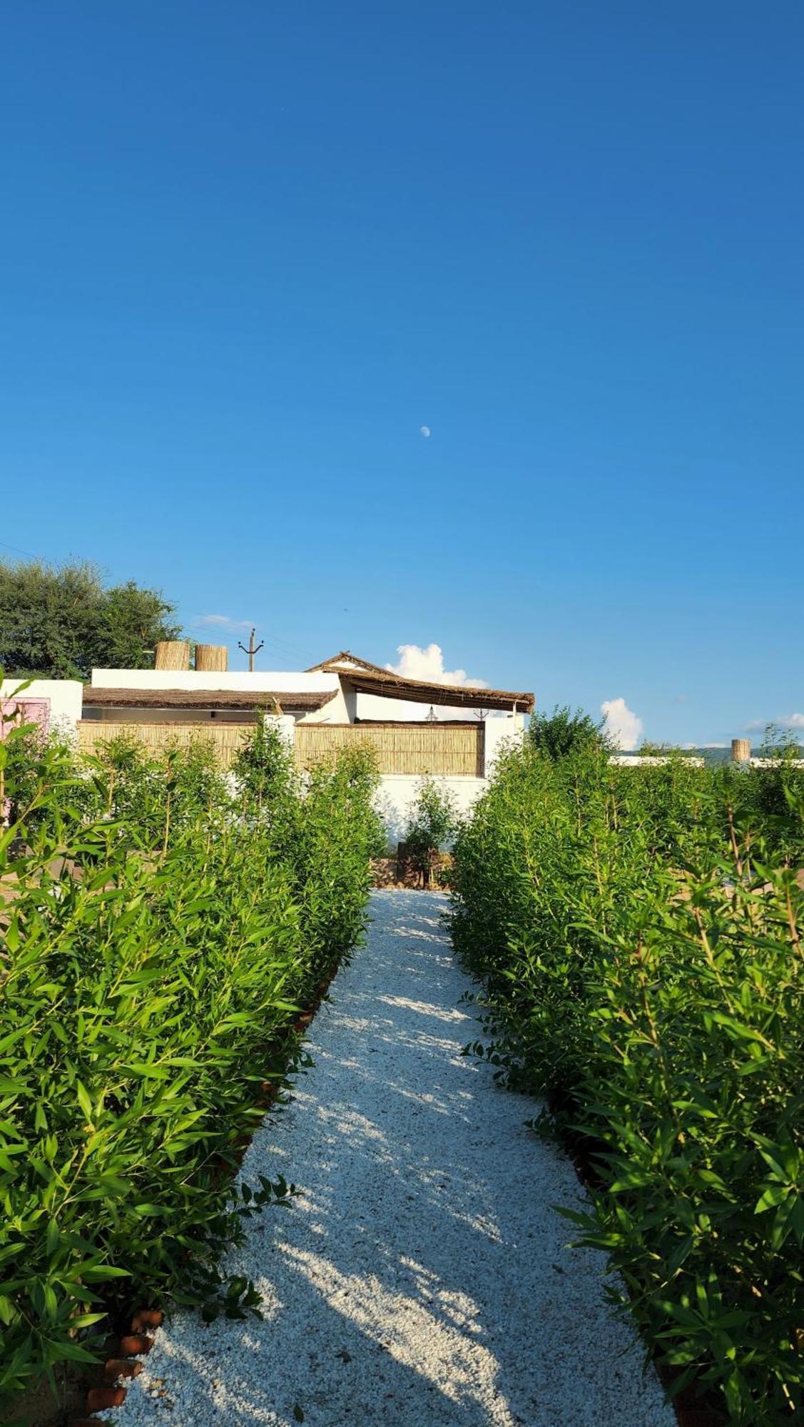 The Luxe Pushkar - A Luxury Farmstay In Пушкар Екстериор снимка
