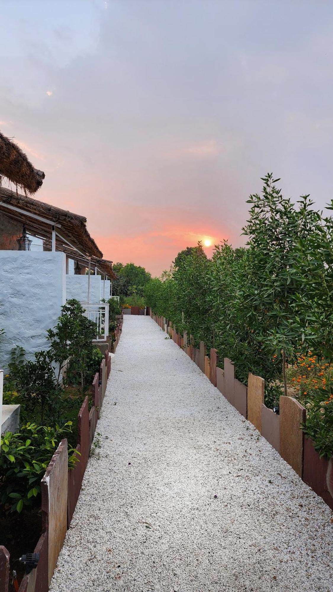 The Luxe Pushkar - A Luxury Farmstay In Пушкар Екстериор снимка