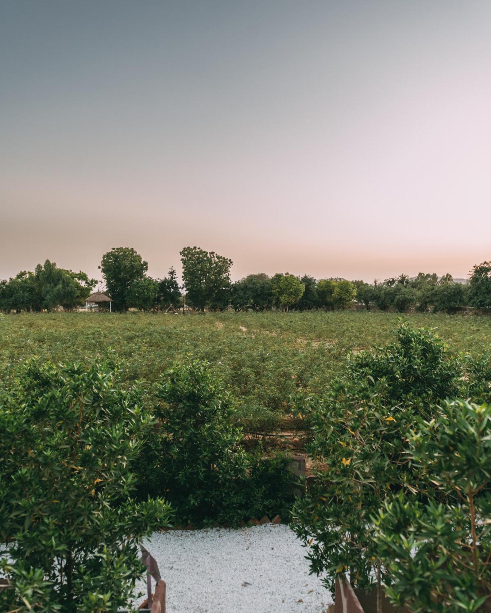 The Luxe Pushkar - A Luxury Farmstay In Пушкар Екстериор снимка