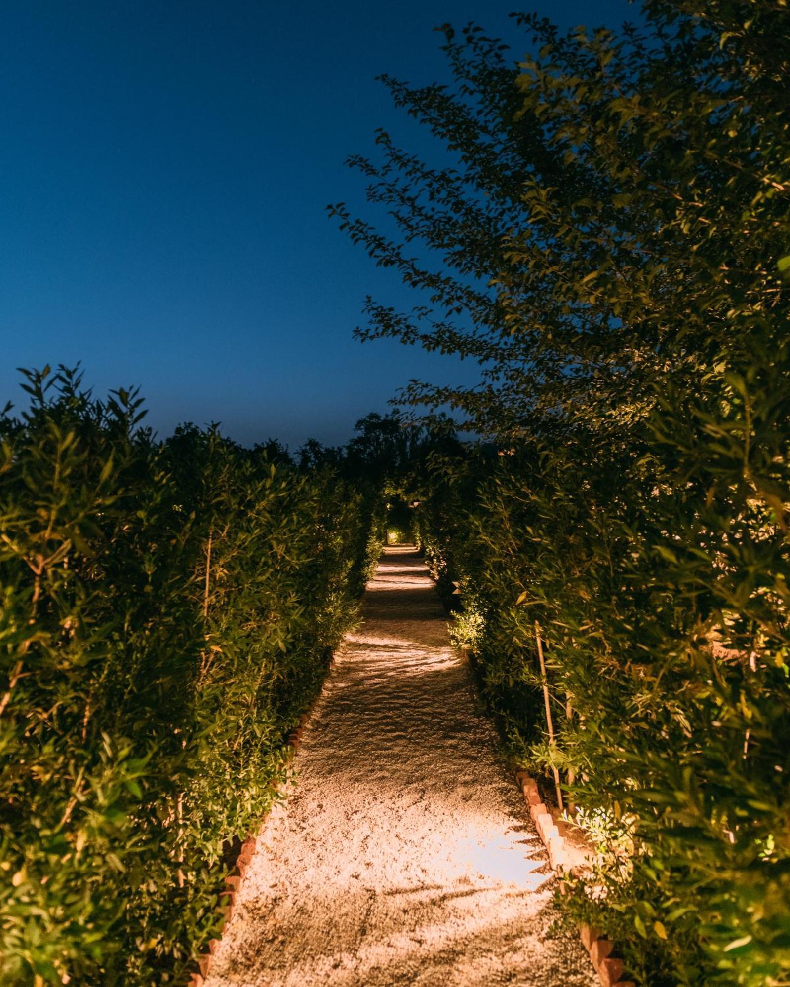 The Luxe Pushkar - A Luxury Farmstay In Пушкар Екстериор снимка